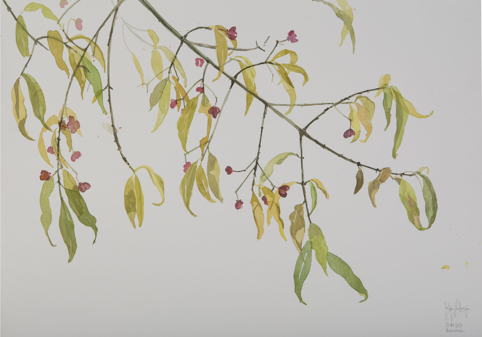 Acuarela_BONETERO otoño 02_Julia Vallespin 36x51cm.